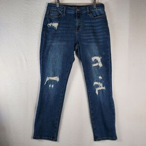 Judy Blue 13/31 Boyfriend Jean Distressed Stretch Denim, Plus Curvy Friendly